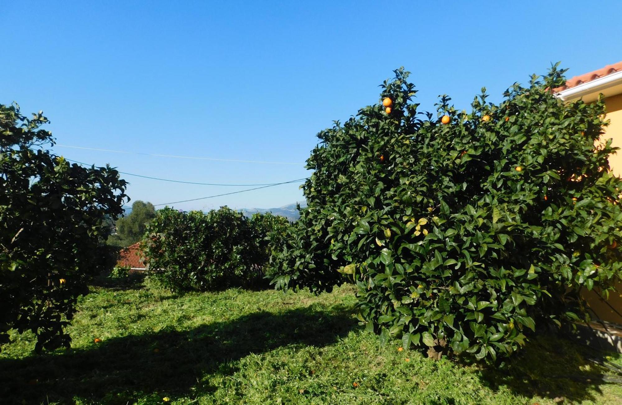 Adonino Residence-The House Of Pomegranates Lakithra Экстерьер фото